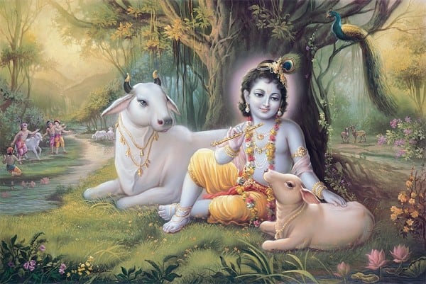 Dios Krishna: Historia, Enseñanzas y Simbología